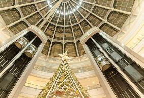 2020電梯維修費(fèi)用保單來啦！